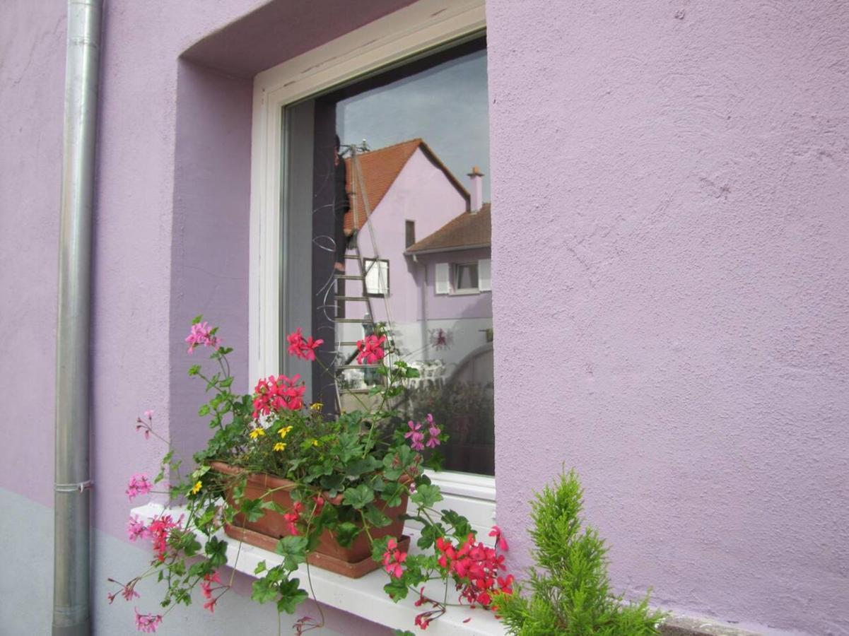 Appartement Les Jardins de Lo're'an à Holtzwihr Extérieur photo